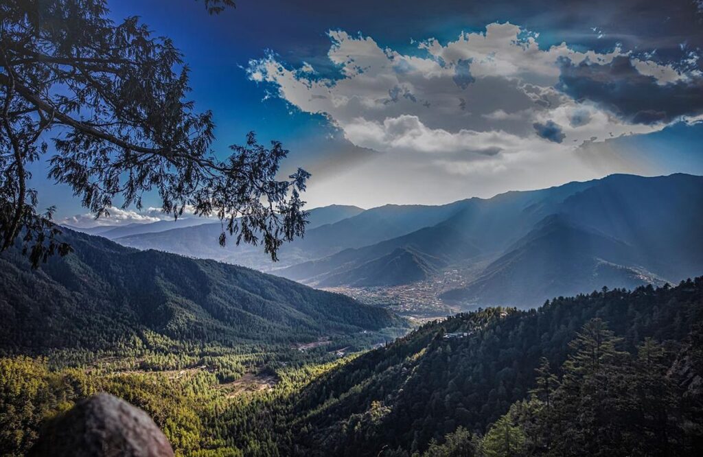 Layered forested ridges receding into cloud, seen from a wooded viewpoint