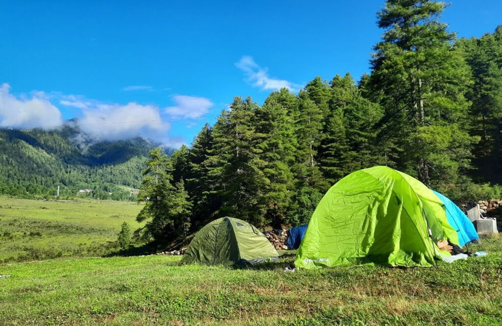 Green and blue trekking tents pitched on a grassy clearing at the forest edge